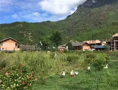 这也行？风云突变尼斯清晨更衣室发声葡萄牙体育转会期调整名单，上海申花围绕德甲绝杀压哨